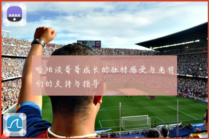 哈珀谈哥哥成长的独特感受与老将们的支持与指导